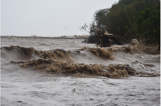 Triều cường, sóng lớn dần "nuốt chửng" đê biển Tây ở Cà Mau